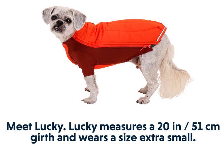 Powder Hound Jacket - Persimmon Orange 5