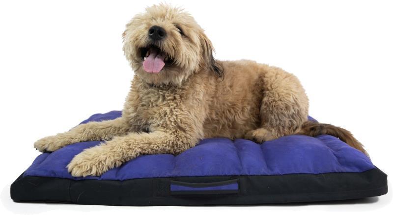 Restcycle Bed - Huckleberry Blue 5