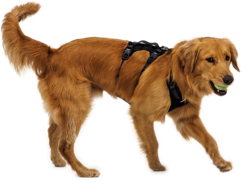 Ridgeline Harness - obsidian black 1