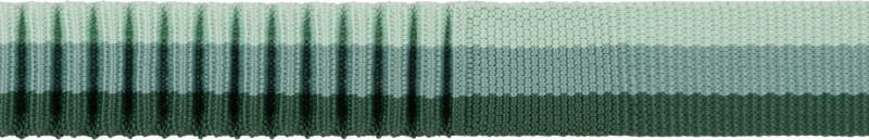 Roamer Leash - Large - river rock green 1