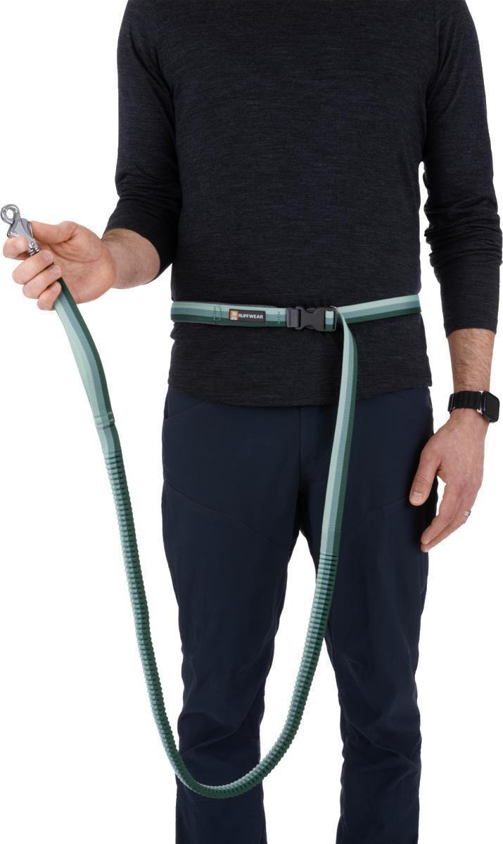 Roamer Leash - Large - river rock green 1