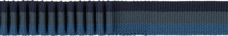 Roamer Leash - Medium - Orion Blue 4