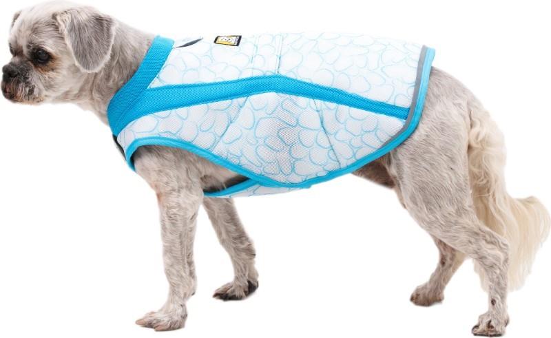Swamp Cooler Harness - biolumin blue 1