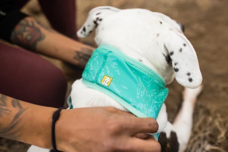 Swamp Cooler Neck Gaiter - Aurora Teal / Heliotrope Purple 8
