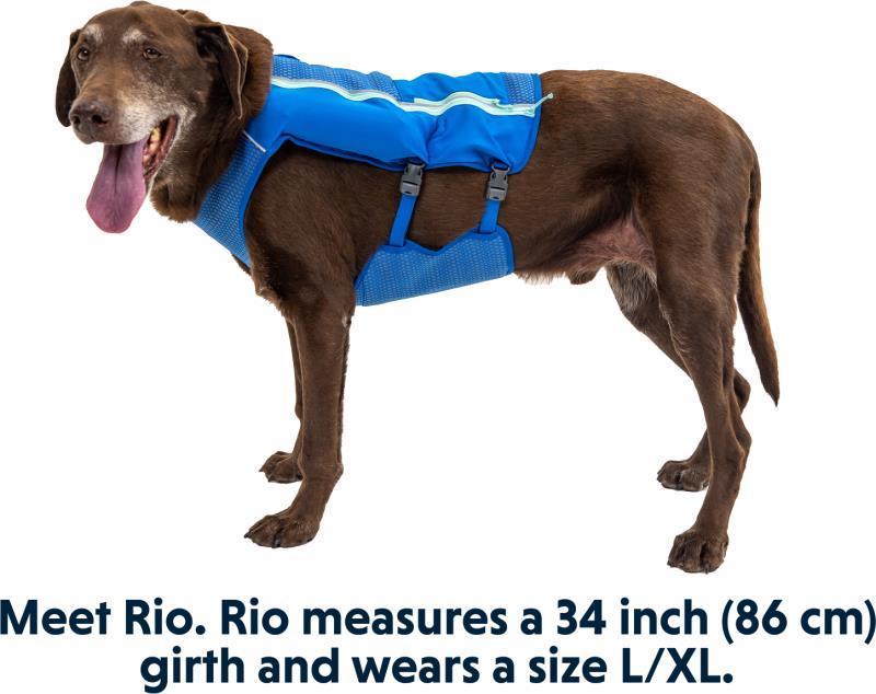 Trail Runner Running Vest - Blue Pool 9