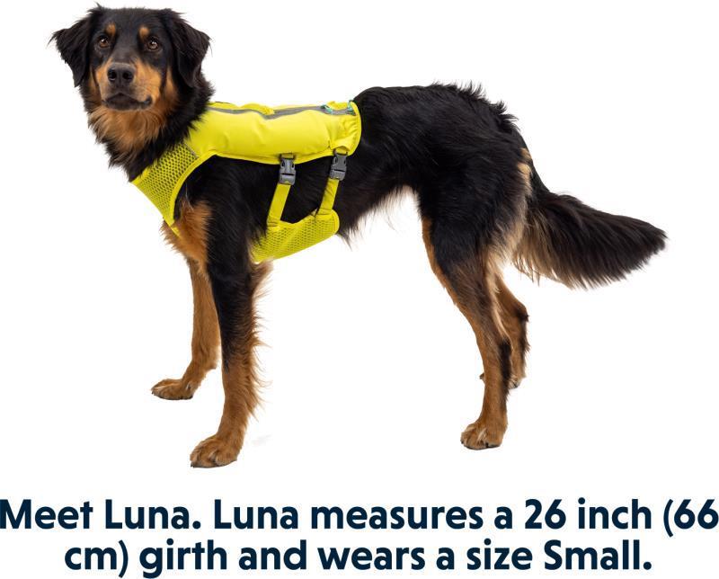 Trail Runner Running Vest - Lichen Green 8