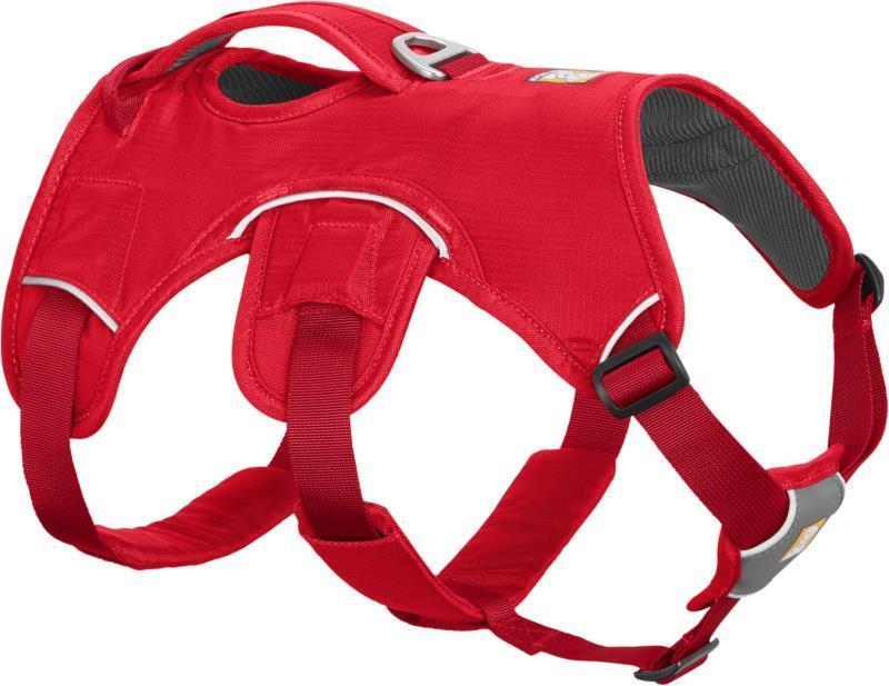 Web Master Harness - Red Currant 1