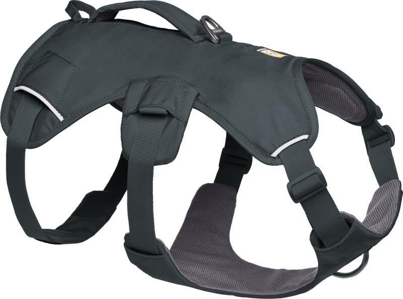 Web Master Harness - basalt gray 1