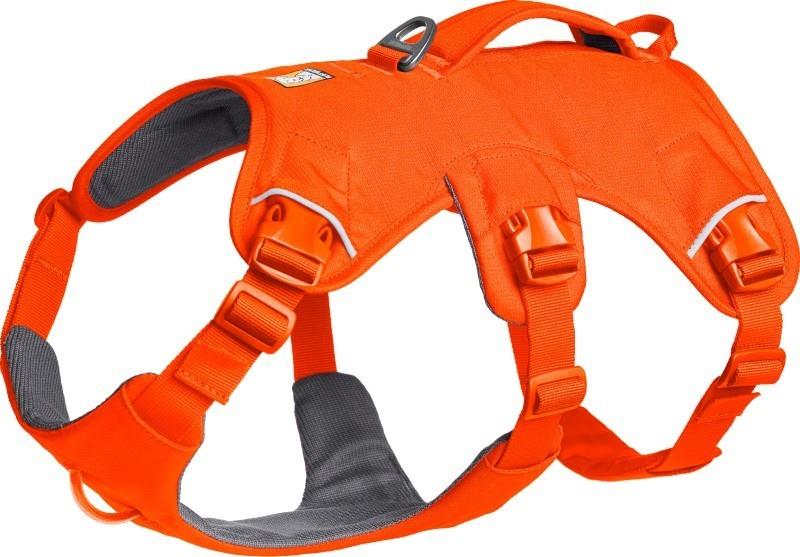 Web Master Harness - blaze orange 1