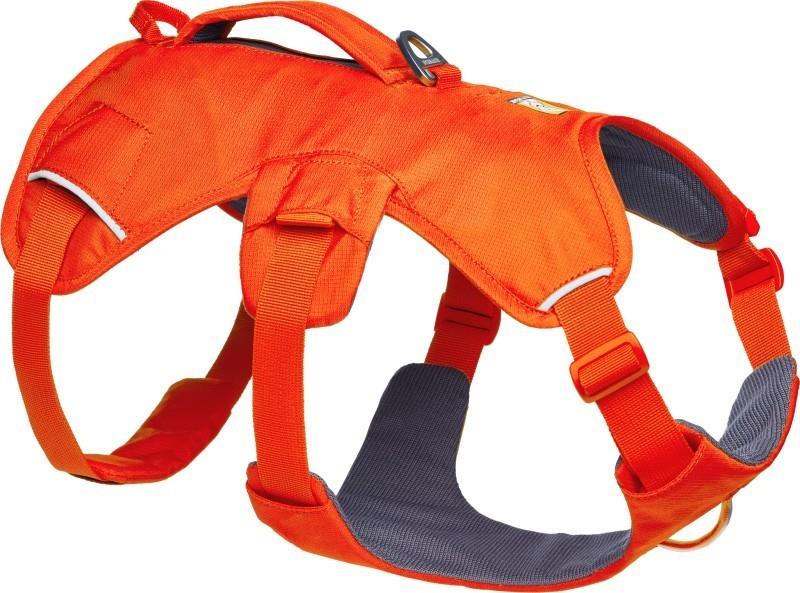 Web Master Harness - blaze orange 1