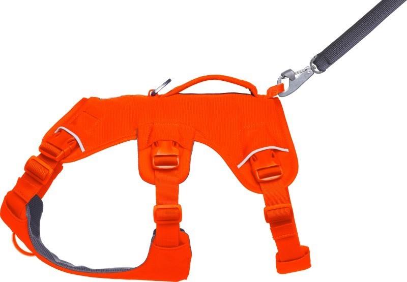 Web Master Harness - blaze orange 1