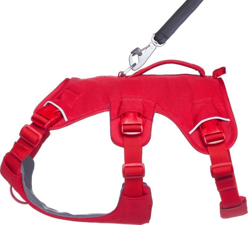 Web Master Harness - red canyon 1
