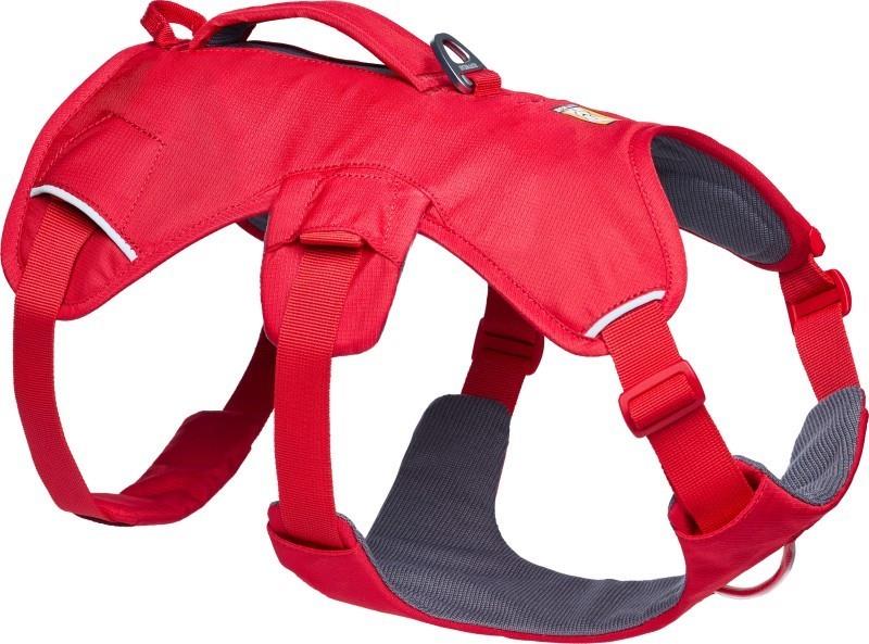 Web Master Harness - red canyon 1