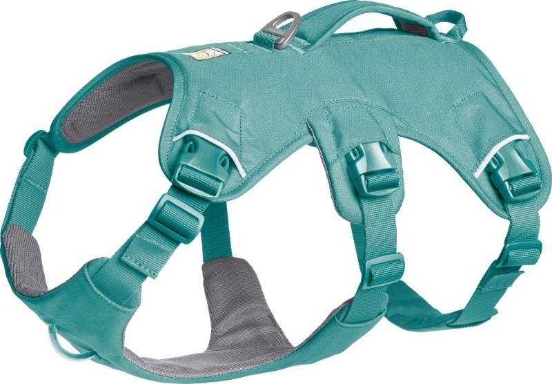 Web Master Harness - river rock green 1