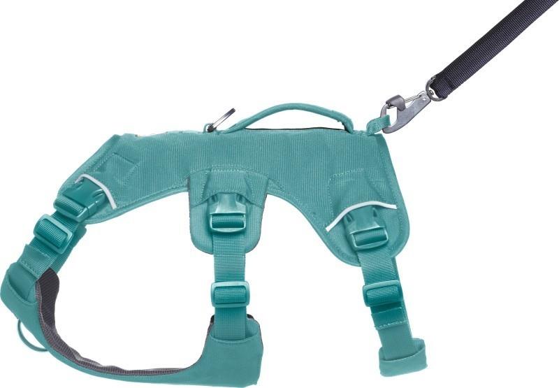 Web Master Harness - river rock green 1