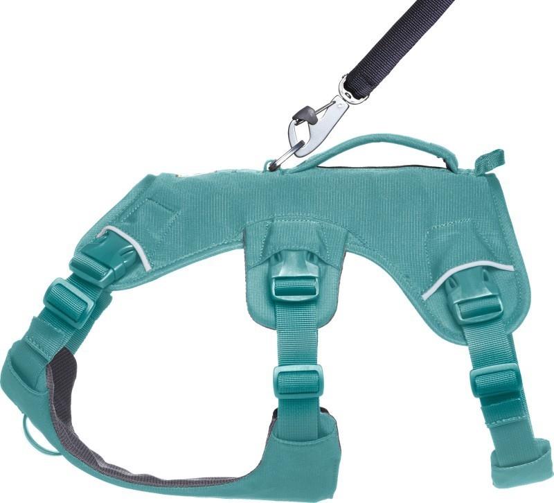 Web Master Harness - river rock green 1