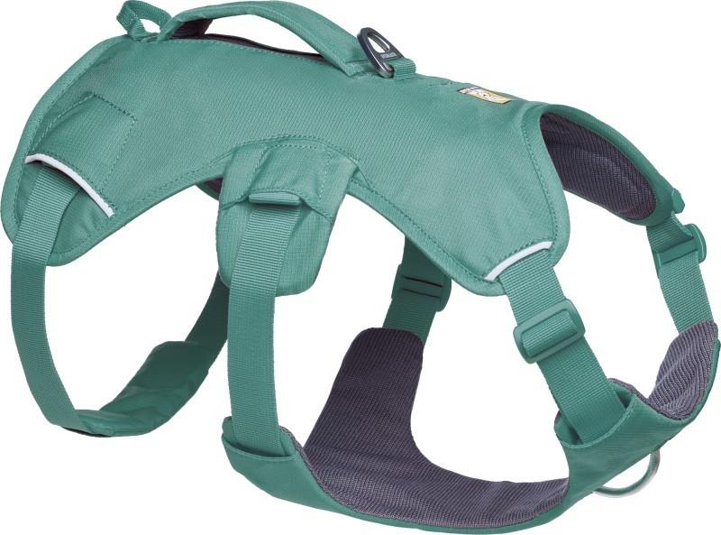 Web Master Harness - river rock green 1