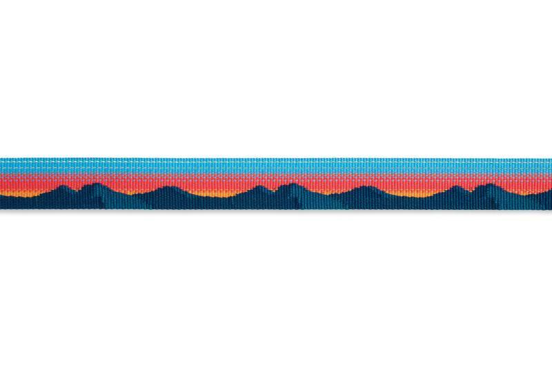 Web Reaction Collar - Sunset 5