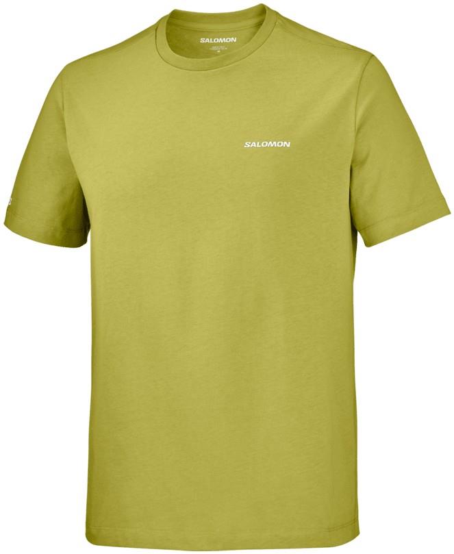Chest Logo Regular Tee - Mens - cardamon seed 1