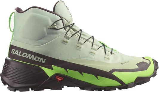 Cross Hike 2 Mid GTX - Mens - Desert Sage / Green Gecko / Chocolate Plum 1