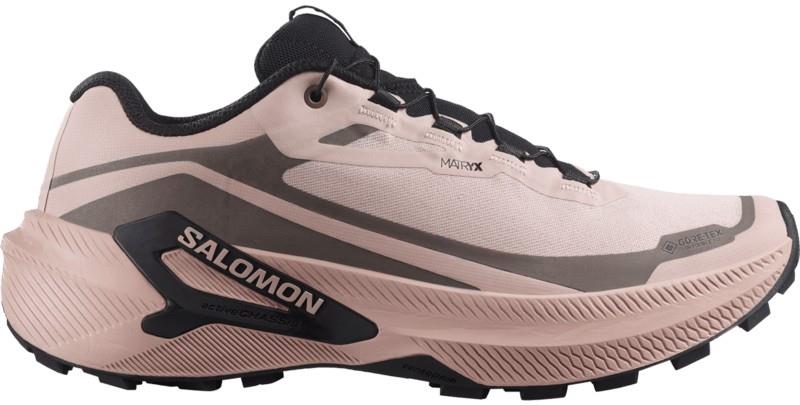 Genesis 2 GTX - Womens - shadow gray / iron / black 1