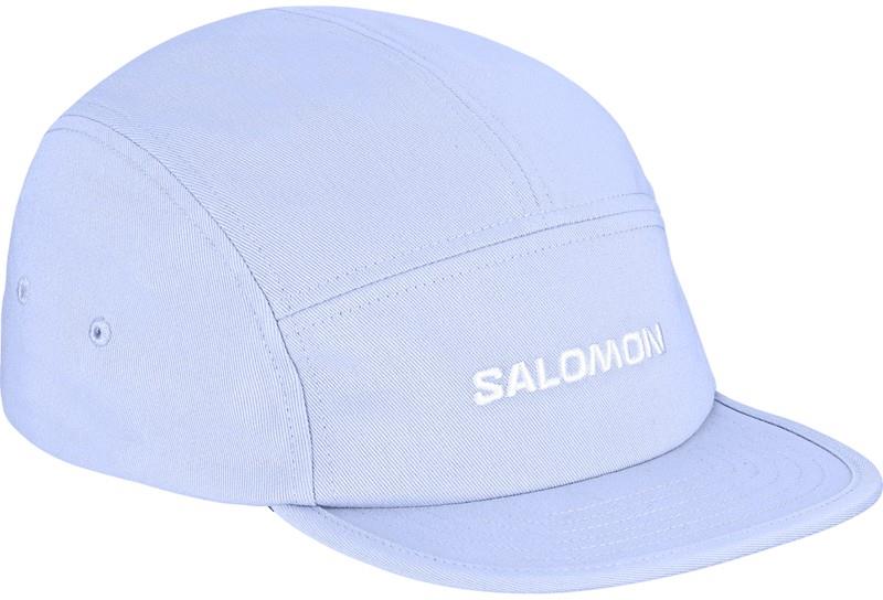 Logo 5 Panel - brunnera blue 1