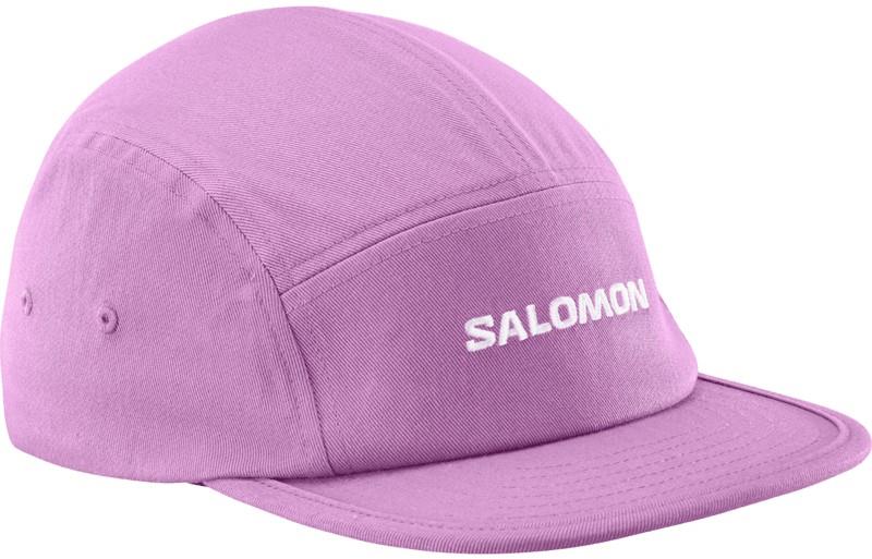 Logo 5 Panel - iris orchid 1