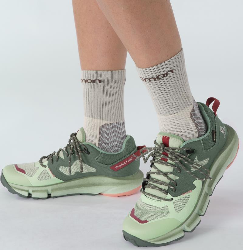 Predict Hike GTX - Womens - Spray / Duck Green / Blooming Dahlia 8