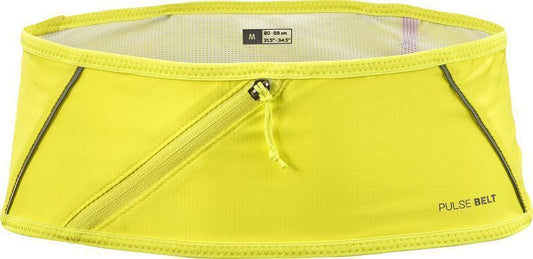 Pulse Belt - Sulphur Spring / Glacier Gray 1