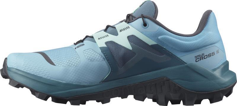 Wildcross 2 - Womens - delphinium blue / mallard blue / yucca 1