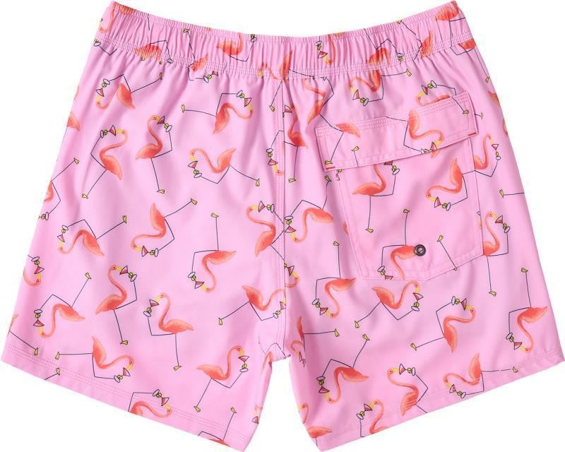 Oh Buoy 2n1 Volley Shorts, 5” Inseam - Mens - drinko flamingo-taffy 1