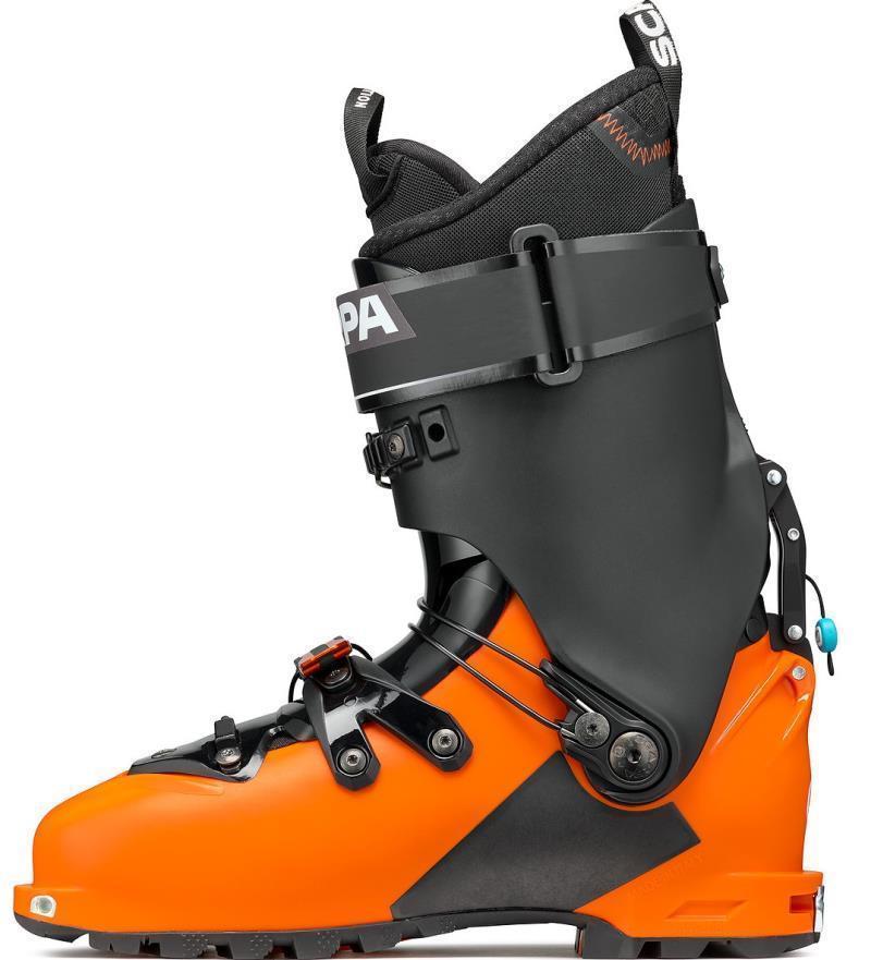 Maestrale - Mens - Orange / Black 2