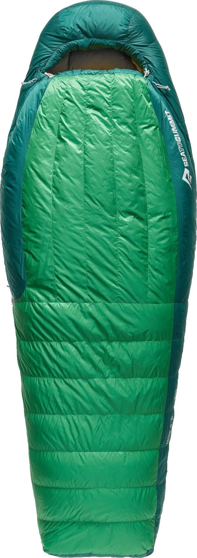 Ascent 750+, -9C / 15F, Regular - Rain Forest Green 1