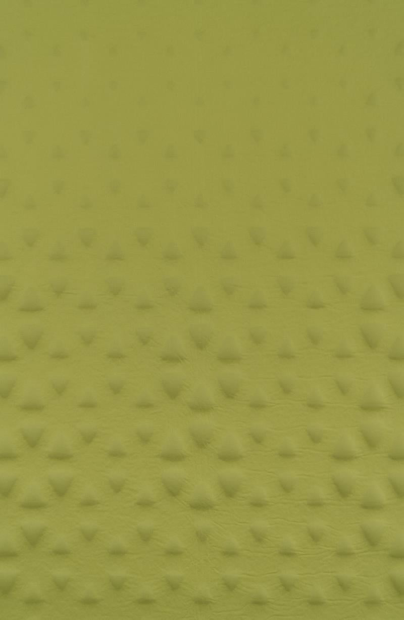 Camp SI Mat - Regular - Not Applicable 6