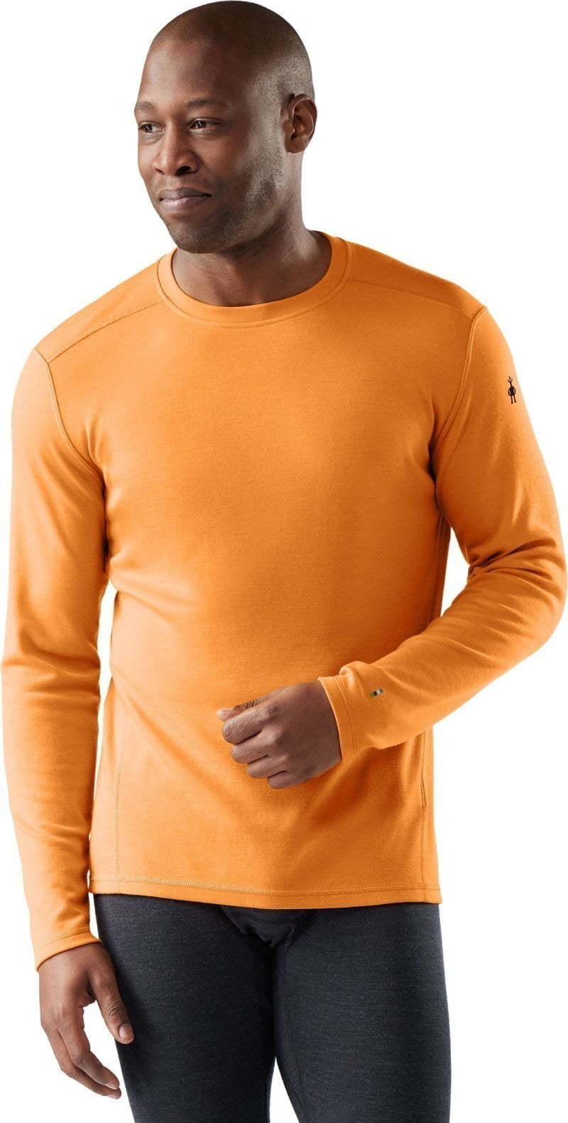 Classic Thermal Merino 250 Base Layer Crew - Mens - autumn sun 1