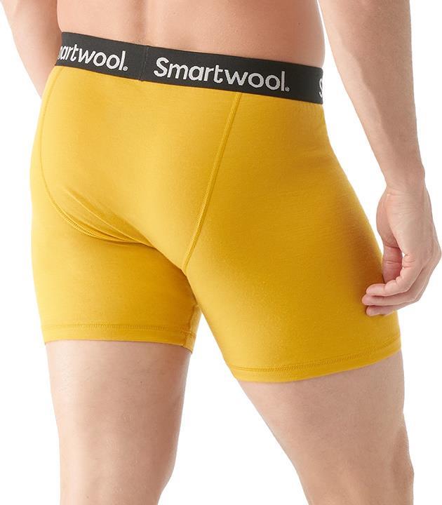 Merino Boxer Brief - Mens - Honey Gold 3