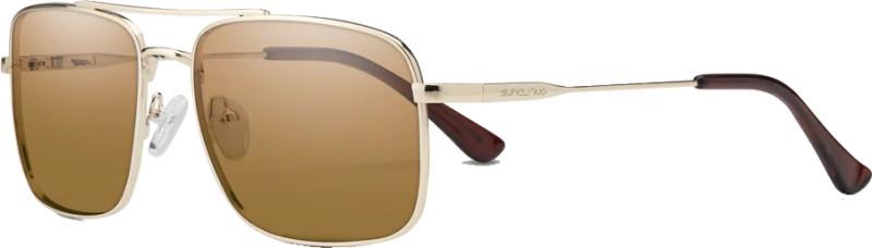 Payback - Gold Frame, Polarized Brown Lens - not applicable 1