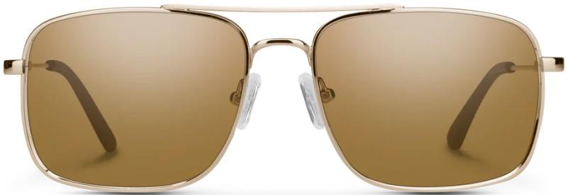 Payback - Gold Frame, Polarized Brown Lens - not applicable 1