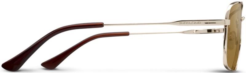 Payback - Gold Frame, Polarized Brown Lens - not applicable 1