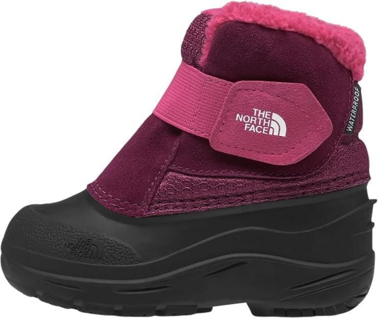 Alpenglow II - Toddler Boys - boysenberry / tnf black 1