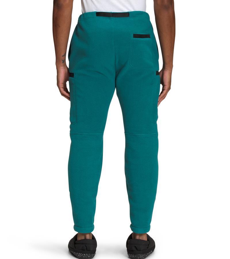 Alpine Polartec 200 Pants, Reg - Mens - Harbor Blue / TNF Black 2