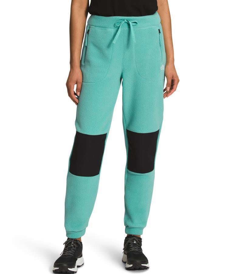 Alpine Polartec 200 Pants, Reg - Womens - Wasabi / TNF Black 1