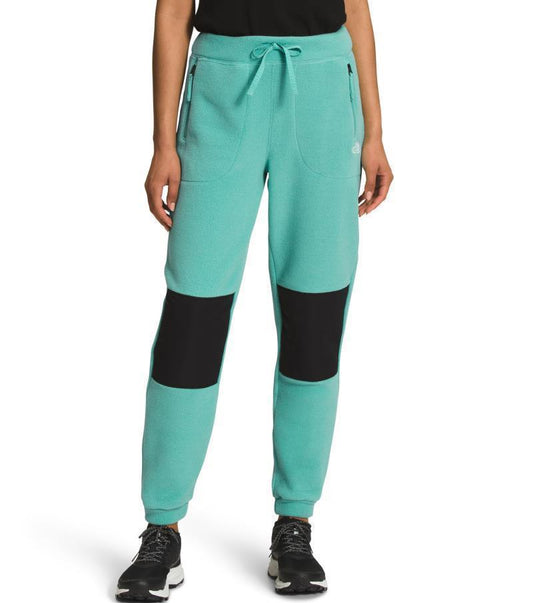 Alpine Polartec 200 Pants, Reg - Womens - Wasabi / TNF Black 1