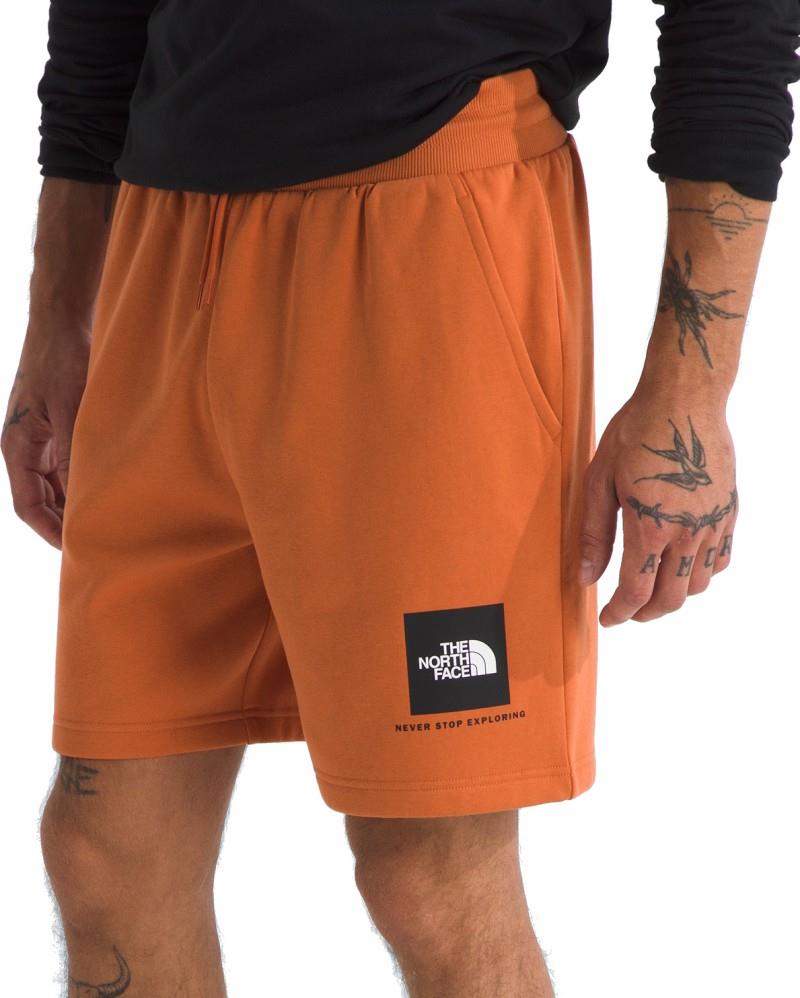 Box NSE Regular Shorts, Reg - Mens - iron bronze / tnf black 1