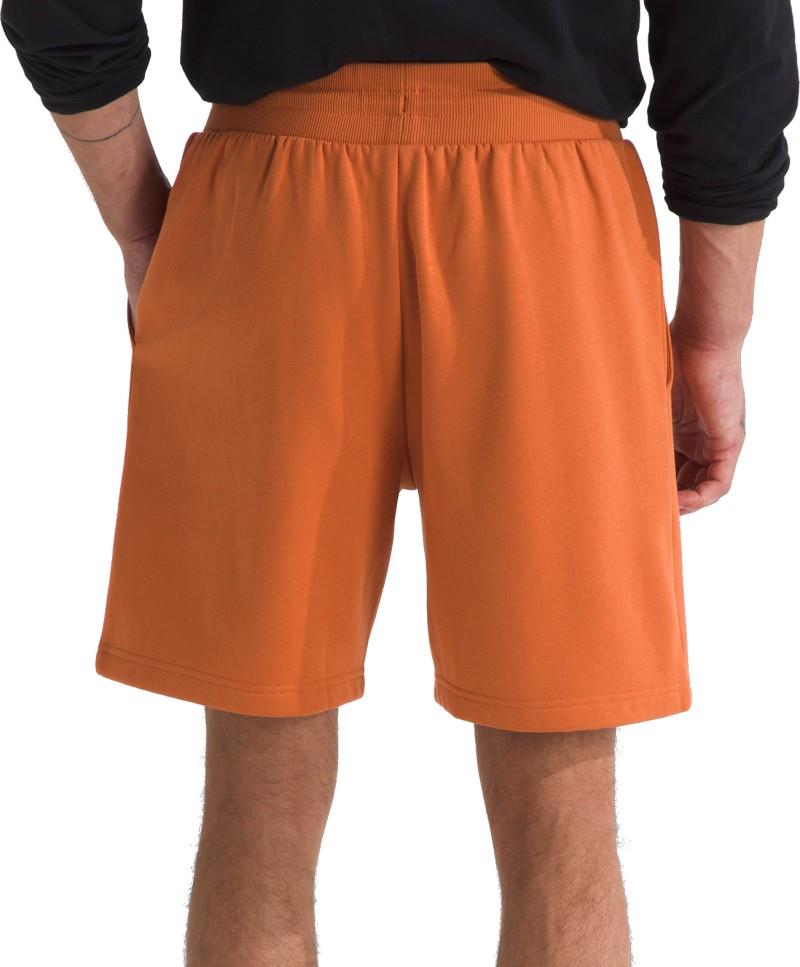 Box NSE Regular Shorts, Reg - Mens - iron bronze / tnf black 1
