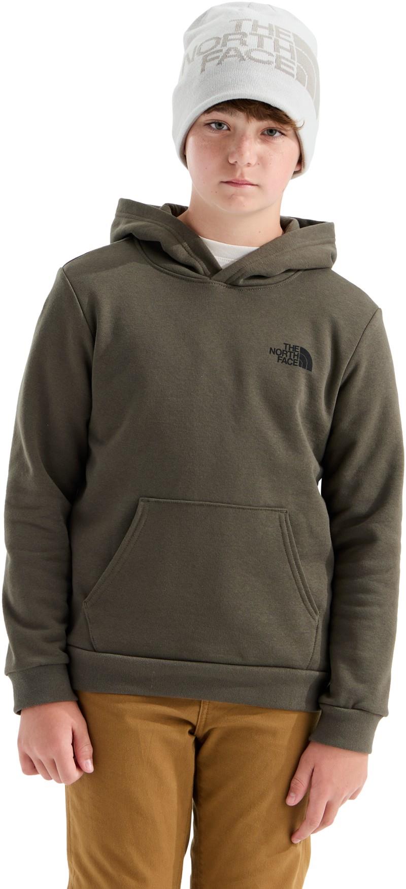 Evolution Box NSE Pullover Graphic Hoodie - Teen - new taupe green / new taupe green yosemite oak 1