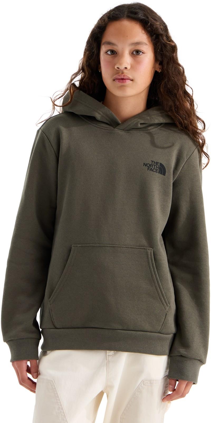 Evolution Box NSE Pullover Graphic Hoodie - Teen - new taupe green / new taupe green yosemite oak 1