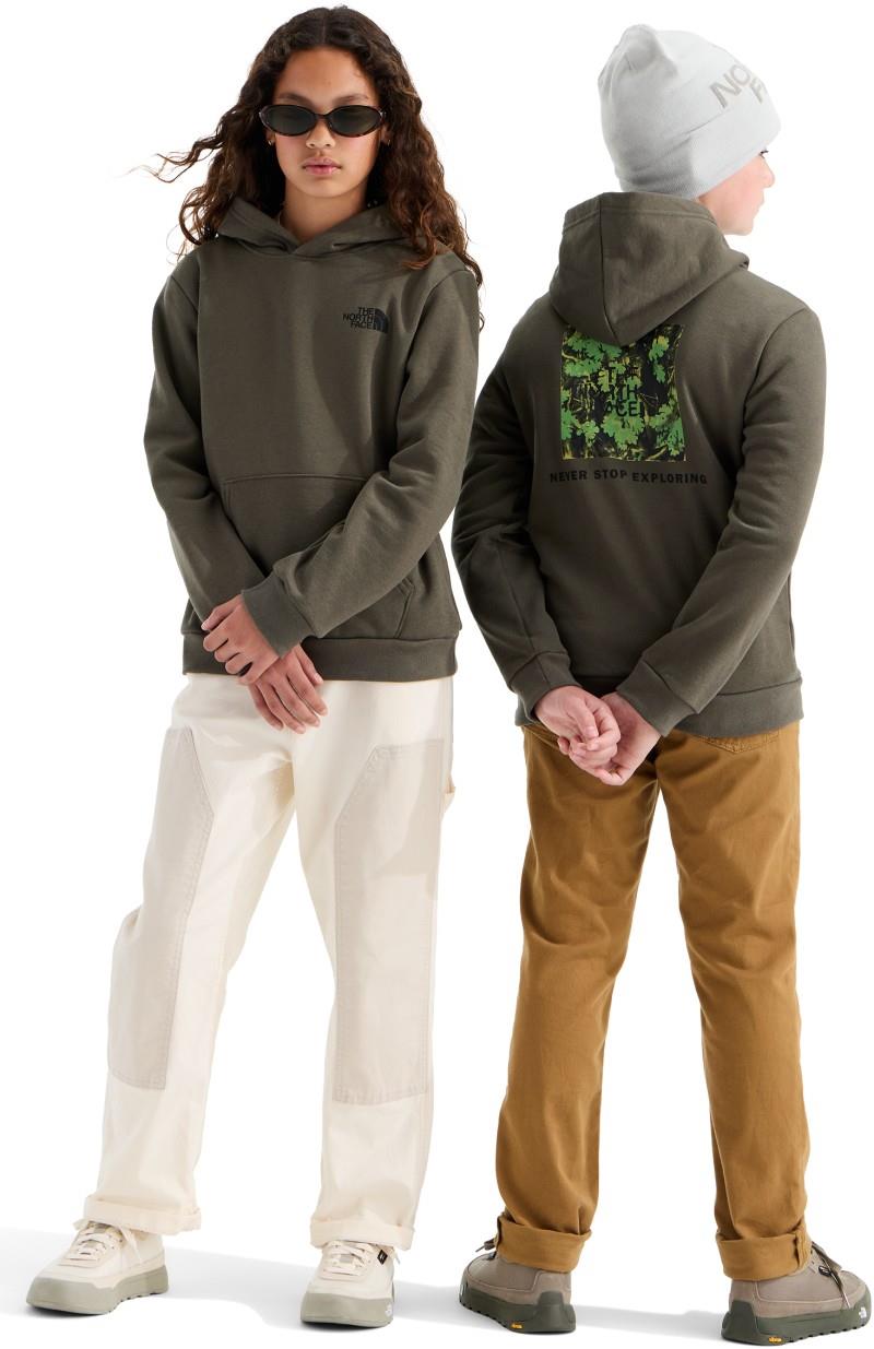 Evolution Box NSE Pullover Graphic Hoodie - Teen - new taupe green / new taupe green yosemite oak 1