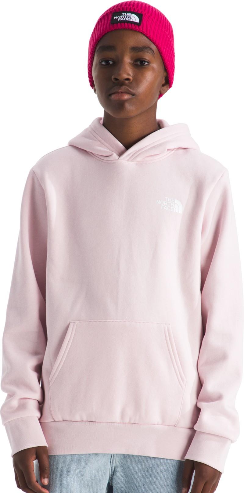 Evolution Box NSE Pullover Graphic Hoodie - Teen - pale blossom / lali guran regenerative ink print 1