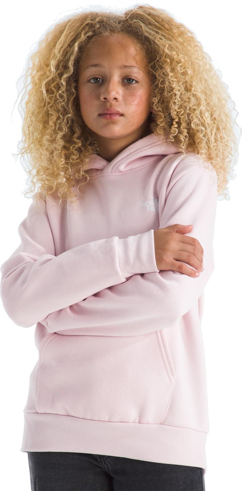Evolution Box NSE Pullover Graphic Hoodie - Teen - pale blossom / lali guran regenerative ink print 1